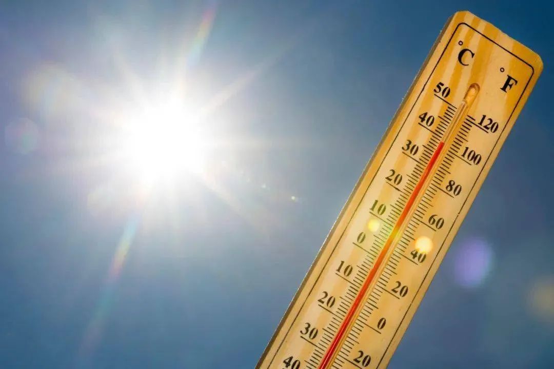 《气温“爆表”+极端天气！美国超4200万人处于警报状态、巴基斯坦上破50℃……》